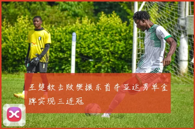 王楚钦击败樊振东首夺亚运男单金牌实现三连冠