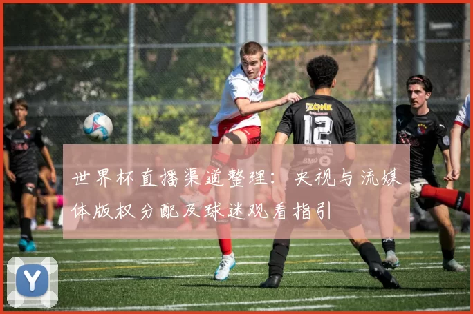 世界杯直播渠道整理：央视与流媒体版权分配及球迷观看指引