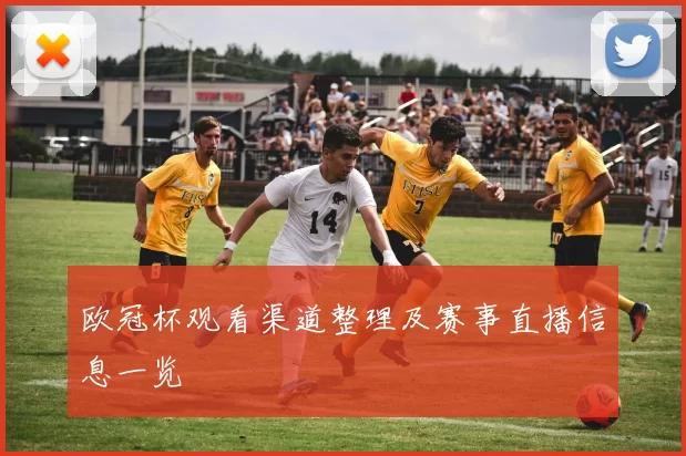 欧冠杯观看渠道整理及赛事直播信息一览