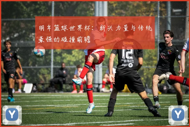明年篮球世界杯:新兴力量与传统豪强的碰撞前瞻