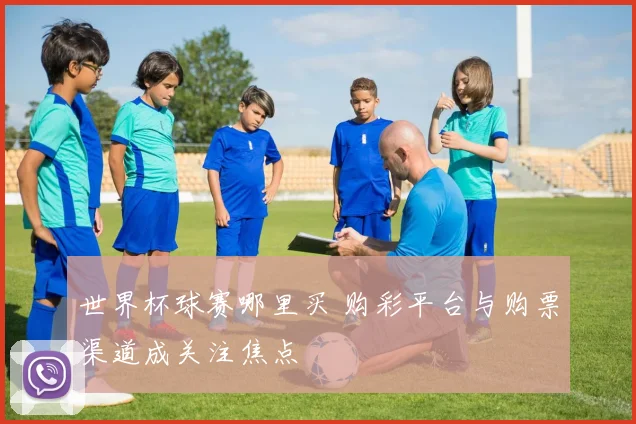 世界杯球赛哪里买 购彩平台与购票渠道成关注焦点