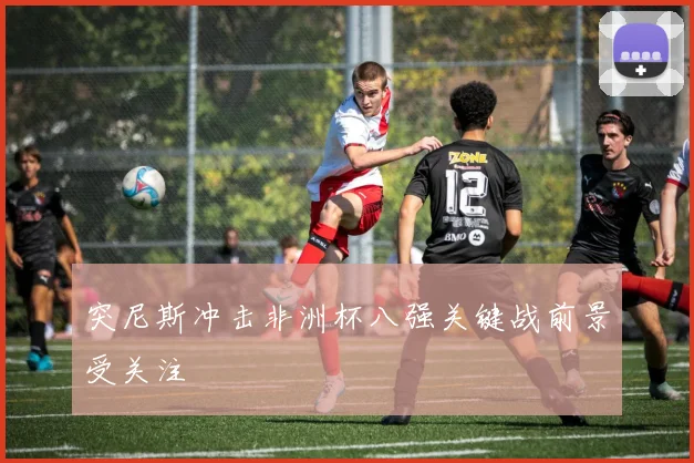 突尼斯冲击非洲杯八强关键战前景受关注