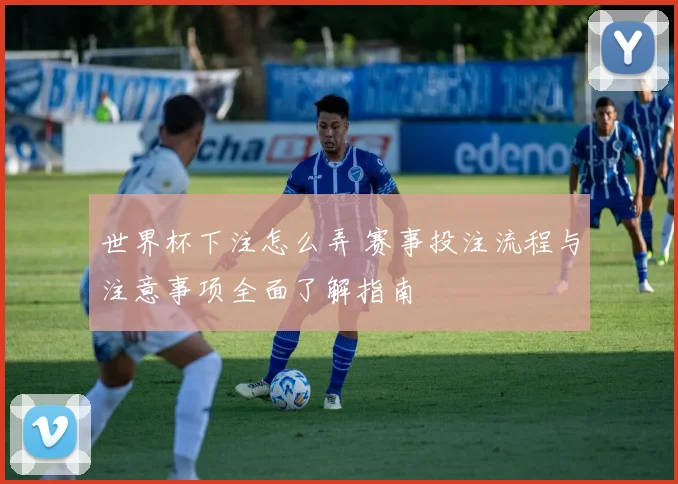 世界杯下注怎么弄 赛事投注流程与注意事项全面了解指南