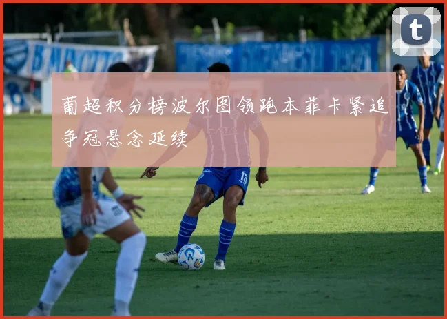 葡超积分榜波尔图领跑本菲卡紧追争冠悬念延续