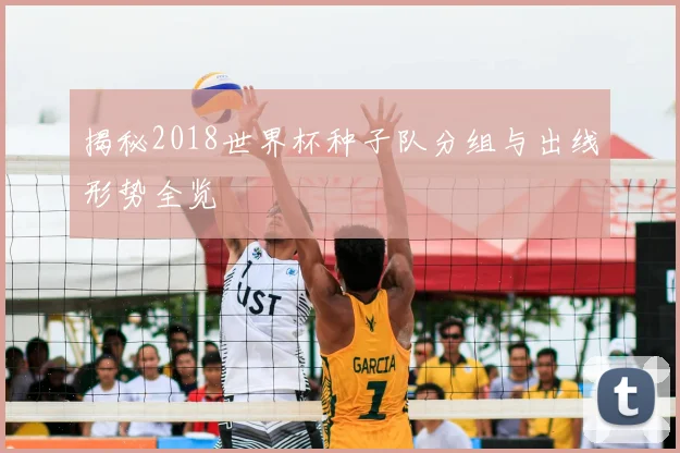 揭秘2018世界杯种子队分组与出线形势全览