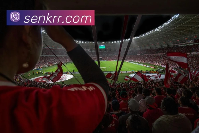 App Interface Preview